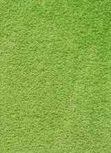 [Metrážny koberec Dynasty 41 - Zvyšok 120x400 cm]