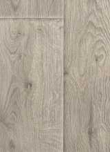 [PVC EVOLUTION Raymond 7]