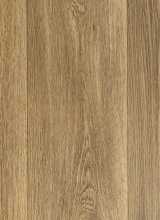 [PVC PENTAX Logan Brown]