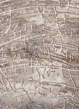 [Metrážny koberec Victoria 8007-0444 - Zvyšok 158x300 cm]