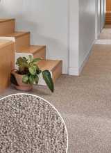 [Metrážny koberec BELLAGIO 65]