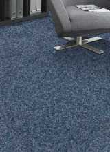 [Objektový Koberec New Orleans 539]