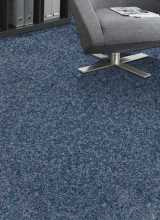 [Objektový koberec New Orleans 539 + ]