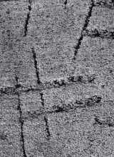 [Metrážny koberec NICOSIA 93]