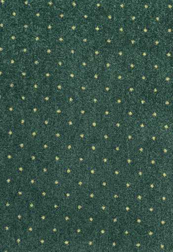 Metrážny koberec AKZENTO NEW 25