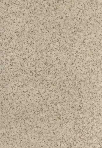 PVC Ranger BRONX G33