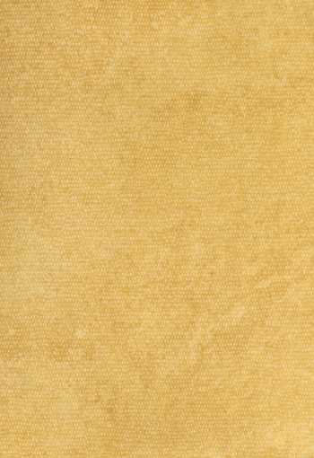 PVC Xtreme ROXANNE 220M