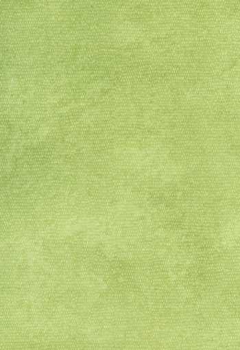 PVC Xtreme ROXANNE 550M