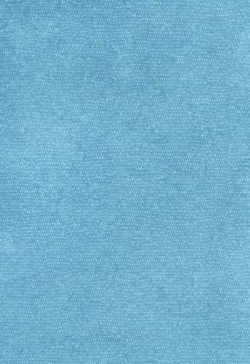 PVC Xtreme ROXANNE 770M