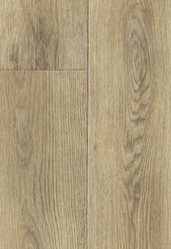 PVC REWARD Leonardo 1