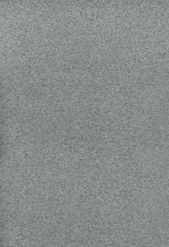 PVC TOPLINE - ST6 sivá