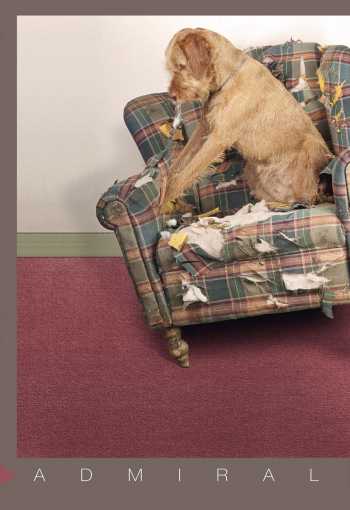 Metrážny koberec ADMIRAL