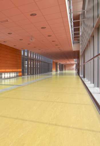 PVC Polyflor ULTRA XL PU 3920 hr. 2,0mm 