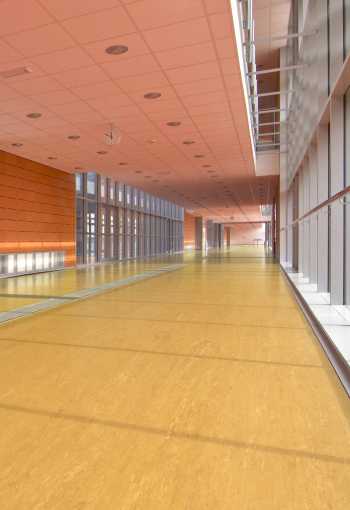 PVC Polyflor ULTRA XL PU 3930 hr. 2,0mm 