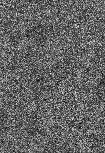 Metrážny koberec Dalesman 77