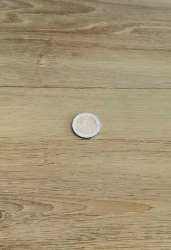 [pvc-puretex-lime-oak-613m-1.jpg]