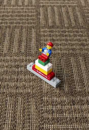 [koberec-sisalo-879-j84n-2.jpg]