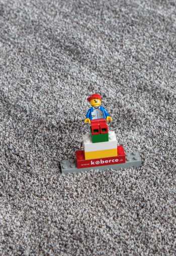 [koberec-labrador-71351-76-3.jpg]