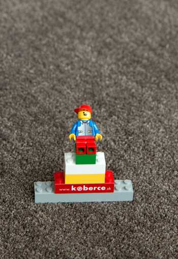 [koberec-labrador-71351-80-3.jpg]