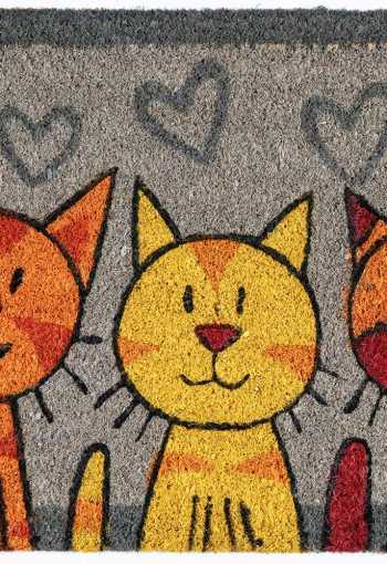 [kokosova-rohoz-macky-1.jpg]