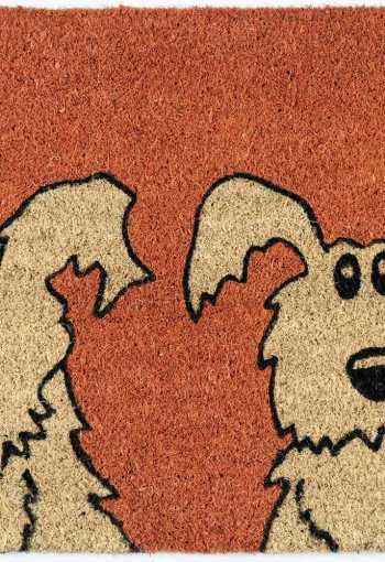 [kokosova-rohoz-psy-1.jpg]