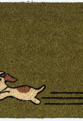 [kokosova-rohoz-zeleny-pes-1.jpg]