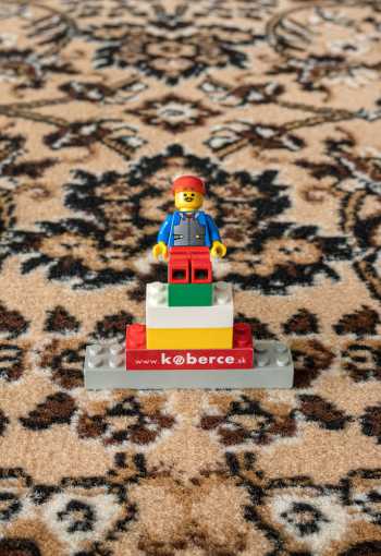 [kusovy-koberec-practica-59-eve-kruh-2.jpg]