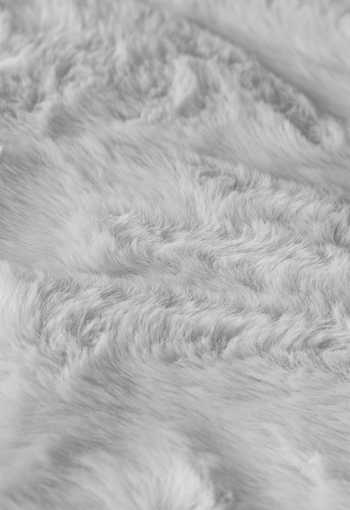 [koberec-rabbit-new-grey-1.jpg]