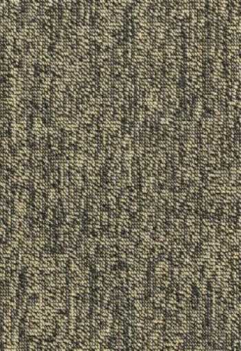 [blaze-w2w_zcl9_270_2.jpg]