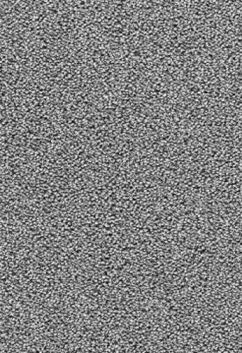 [e-firm_zev3_093_f.jpg]