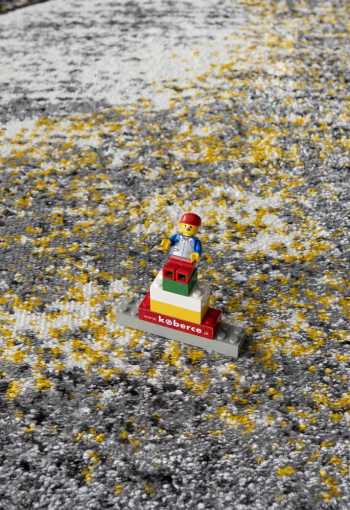 [koberec-alora-1012-yellow-2.jpg]