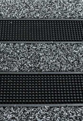 [rohoz-mdentree-cactus-4.jpg]