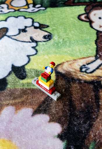 [detsky-koberec-joy-204-2.jpg]