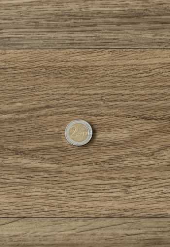 [pvc-ambient-gambel-oak-662m-1.jpg]