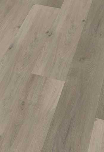 [d2073_lausitzeiche.jpg]