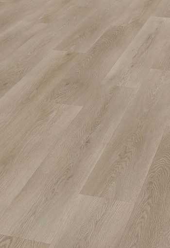 [d2465_mudraeiche_1.jpg]