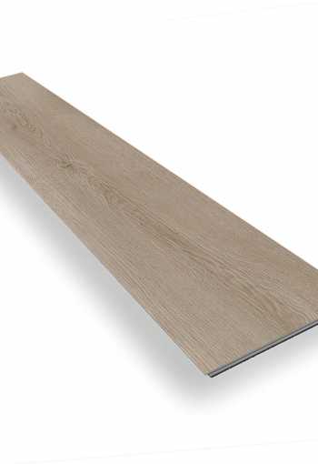 [d2465_mudraeiche_2.jpg]