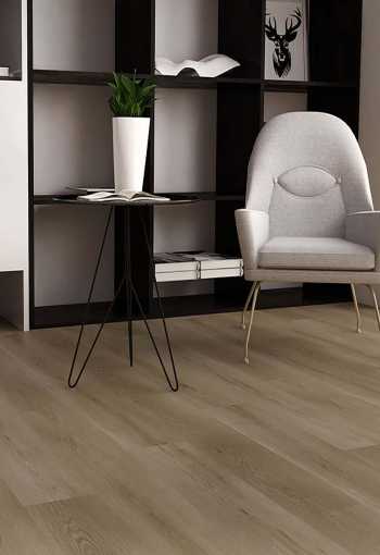 [d2465_mudraeiche_3.jpg]