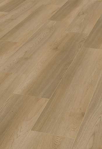 [d2472_morbacheiche_1.jpg]