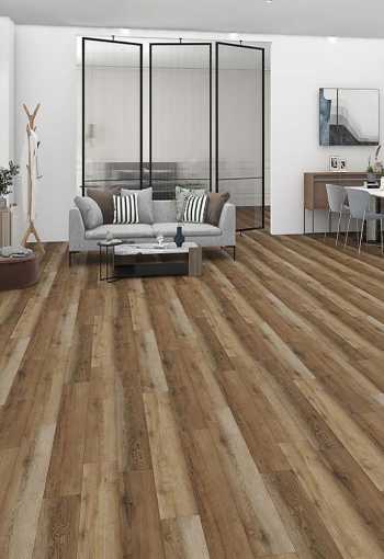 [d2474_wulleneiche_3.jpg]