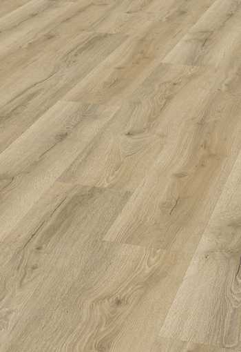 [d2506_silveseiche.jpg]