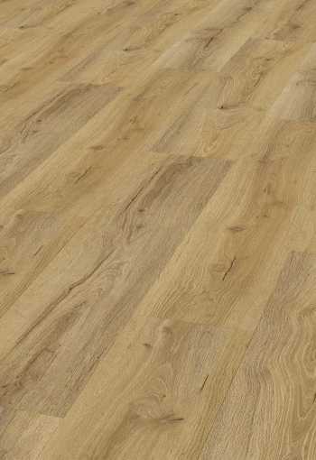 [d2507_agullaeiche.jpg]