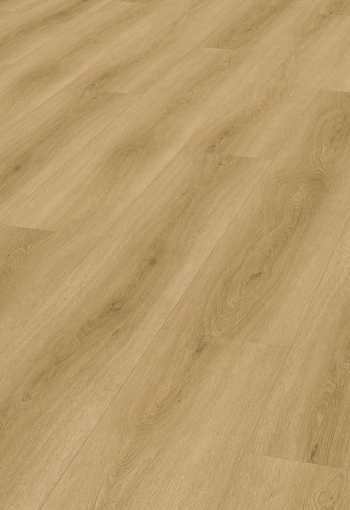 [d2509_torderaeiche.jpg]