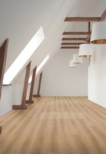 [d2509_torderaeiche_interier.jpg]