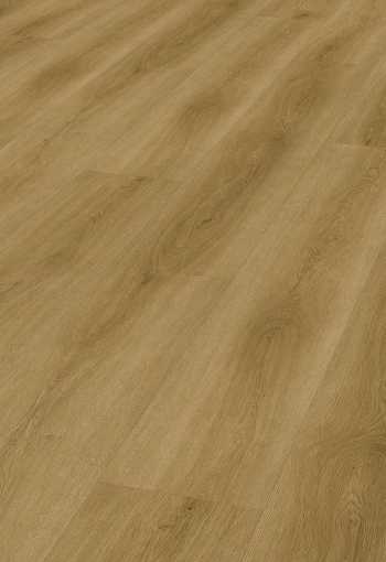 [d2511_alberaeiche.jpg]