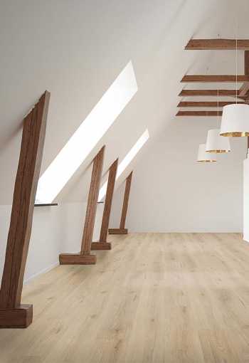 [d2519_room.jpg]
