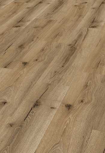 [d4129_mombasaeiche.jpg]