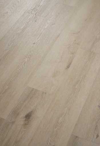 [surplus_noble-oak-03.jpg]