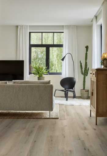 [surplus_noble-oak-55-02.jpg]