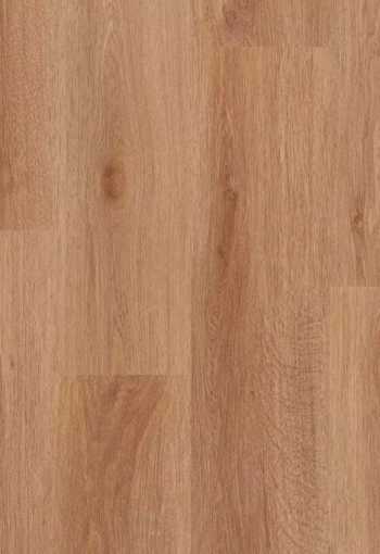 [dub_wallonia_02.jpg]